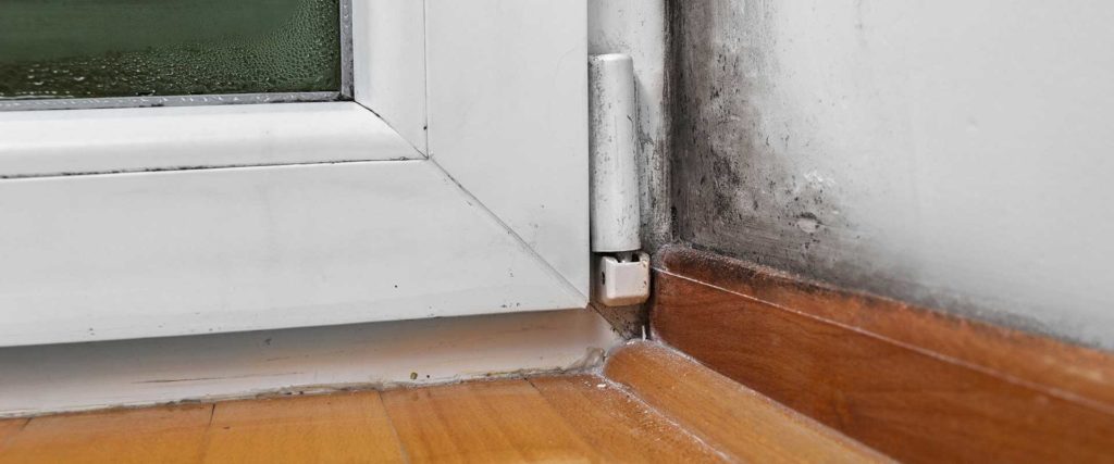 Air duct cleaning removes mold in your home